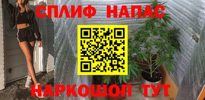 ECSTASY Заводоуковск