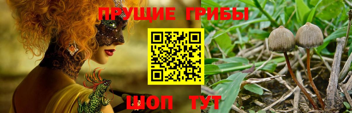Псилоцибиновые грибы прущие грибы  Вход с VPN  Костомукша  Галлюциногенные грибы мухоморы 