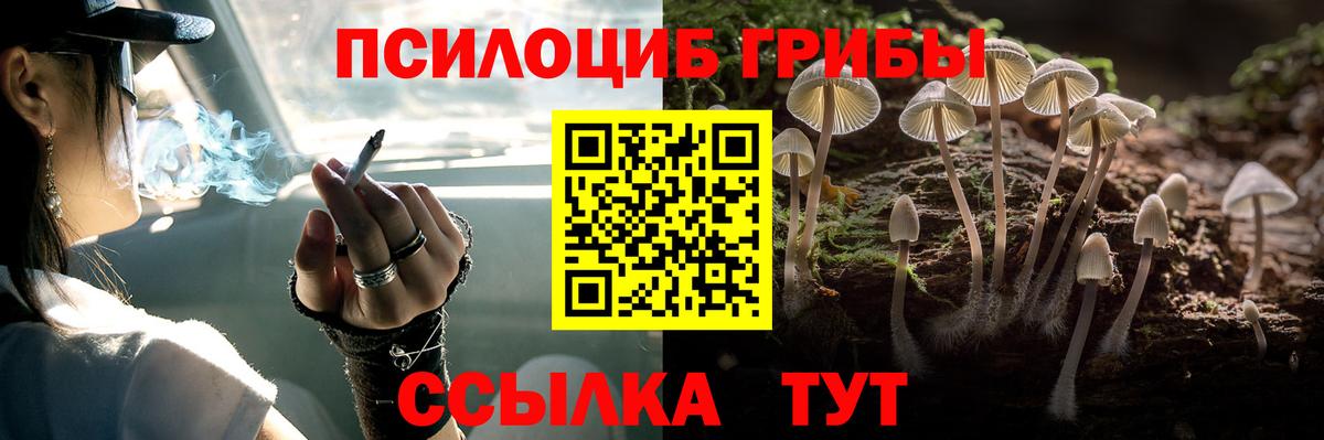 Псилоцибиновые грибы Magic Shrooms Костомукша